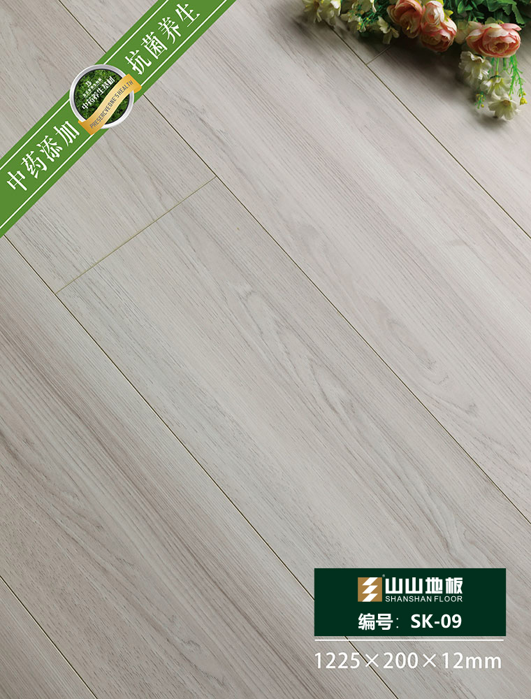 ��ҩ�����ذ�SK09